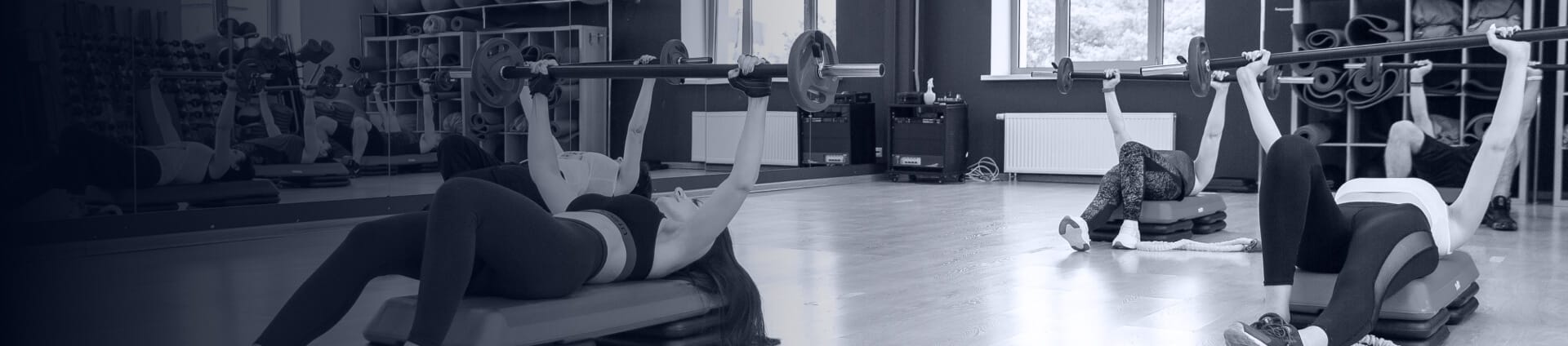 Концепция Фитнесон